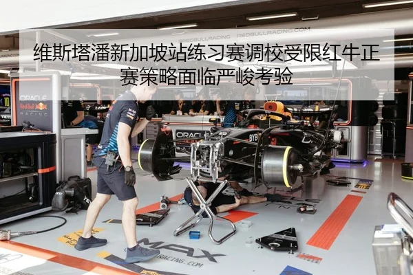 维斯塔潘新加坡站练习赛调校受限红牛正赛策略面临严峻考验